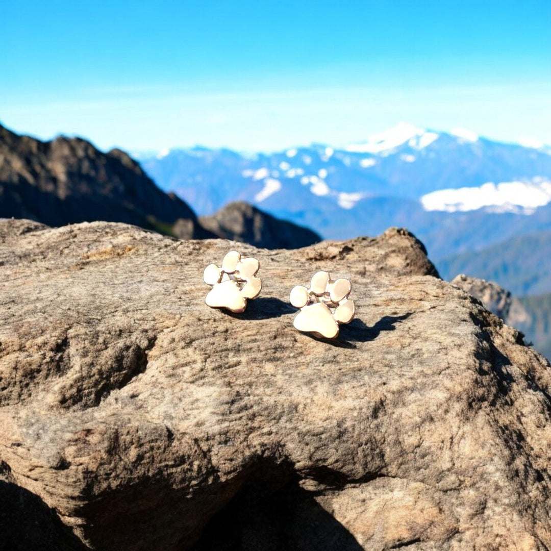 Stainless Steel Paw Earrings Hypoallergenic